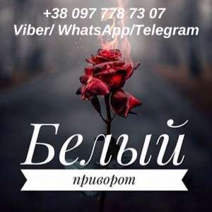 �������. ������ �����������. - ����������� 1