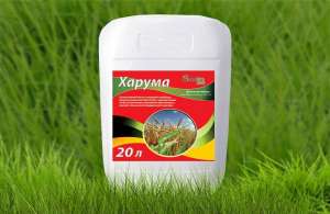 ������� ������ (���������-�-����, 125 �/�) - ����������� 1