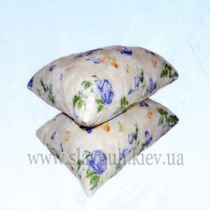 ������� �������. ��������� - ����������� 1