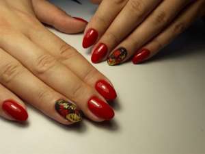 �������, �������, ���������. ����� �����. �������� - ����������� 1