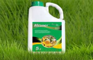 ������� ������� (����������� 500�/�) ������ ������� - ����������� 1