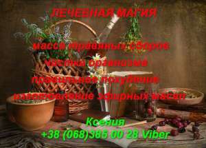 �������. �������� ����� ����. - ����������� 1