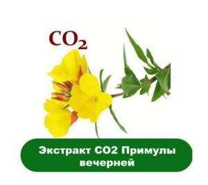 ������� �������� ������ - ����������� 1