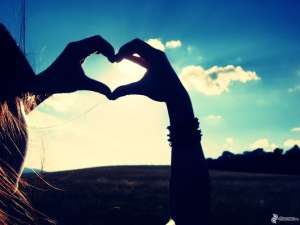 ������� �������� ��������, ����� �����, ������� ���� � �����. ���������� ������ � ������� - ����������� 1