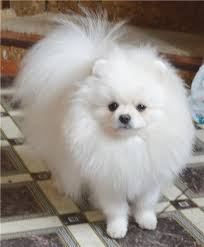 ������� ��������� ������! - ����������� 1