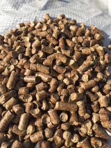 ������� ��������� ������ � �����. - ����������� 1