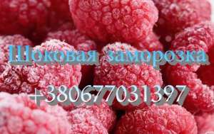 ������� ��������� ������ � ������� - ����������� 1