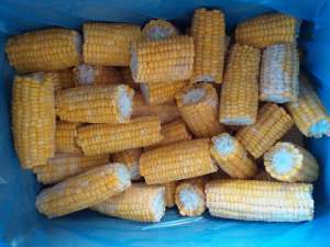 ������� ��������� ���������.�������������� - ����������� 1