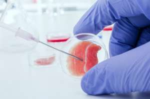 ������� ���������� �������� � Perfecto Room � �. ����. ���������� ��� ������ ��������� ������ ����. - ����������� 1