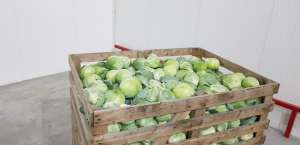 ������� ���������� �������� � ������. ����� ���� - ����������� 1