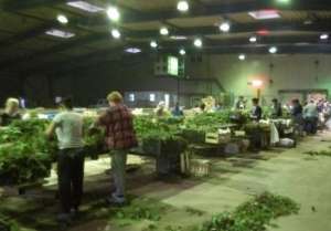 �������: ���������� ��������� �������� - ����������� 1