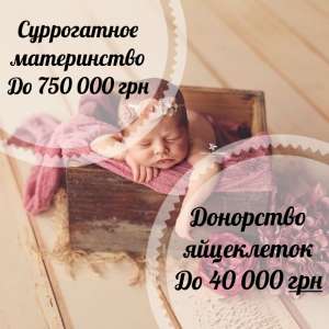 ������� �����������. ����� �����������. ����������������� �����, ������� ���������� - ����������� 1