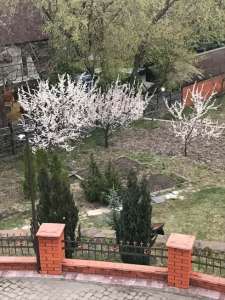 ������� ����������� ������� � ��������� ����� - ����������� 1