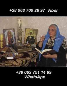 ������� �����������. �������. ������. - ����������� 1