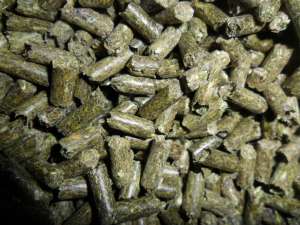 ������� ����������� (�������� ��������) - ����������� 1