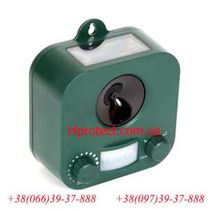 ������� ������������ ����� � �������� �� ��������� �������, �� ����� �������� ������ - ����������� 1