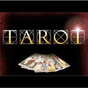 ������� - ������������ �������� - ����������� 1