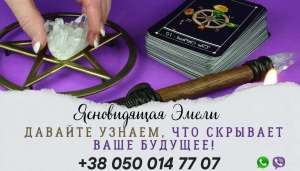 ������� ������������. ��������� �����. ������ �����, ������. - ����������� 1