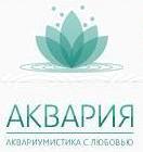 ������� - ��������-����� �������������� - ����������� 1