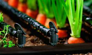 ������� ���������������� ���������� �������� � ������ - ����������� 1