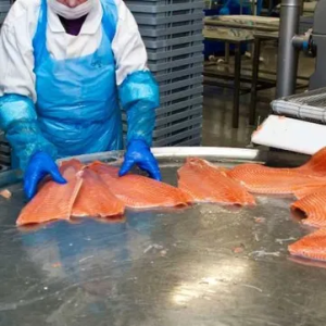 ������� ���������,������������������ ������ ��� ��������� ���� - ����������� 1