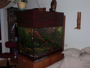 �������� 420� + ��������� ������������! ������ � �������! - ����������� 1