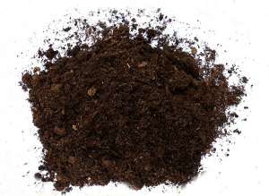 �������� � ������ - ����������� 1