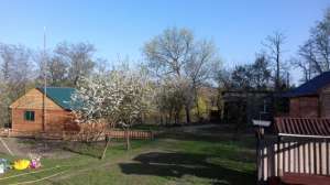 ����-���� "� ������" �����, �������, �������� � ������ - ����������� 1