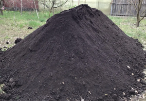 �������� � ������ ������ �� ��������� ����� - ����������� 1