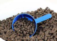 �������� � �������� - ����������� 1