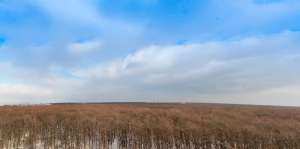 �������� � ��������� � ��������� �� ���. ����� ��� ����������?! - ����������� 1