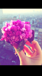 �������� �� ����. ����. - ����������� 1