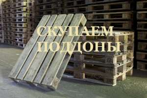 �������� �/� ������� 1200�800 - ����������� 1