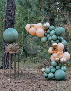 �������� �� ��������� � ���������� - ����������� 1