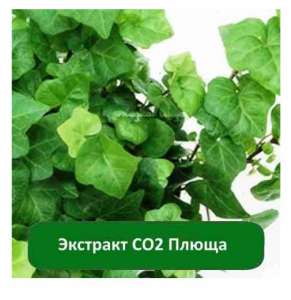 �������� ��2 ����� - ����������� 1