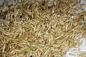 �������� ��� ����� � ������� ����� - ����������� 1