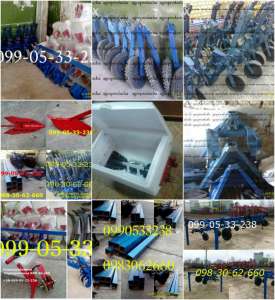 �������� ��� (������, ���� ���, ������������, ����) - ����������� 1