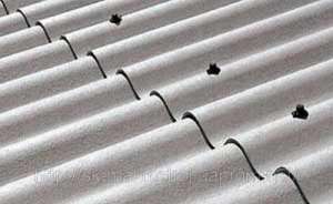 �������� ���� - ����������� 1