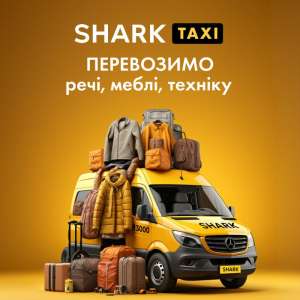 �������� ���� Shark Taxi � ������ ������� ������, ����� � ������! - ����������� 1