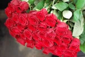 �������� ���� г��� - ����������� 1