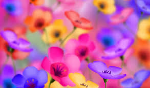 �������� ���� �� ����� ������ - ����������� 1