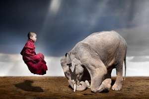 �������� ���� �� ����� �������� - ����������� 1