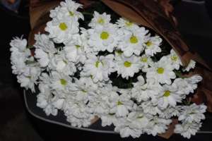 �������� ���� ����� - ����������� 1