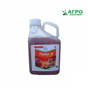 �������� ���� ����� - ����������� 1