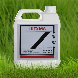 �������� ���� ����� (�����) ������, �������� - ����������� 1