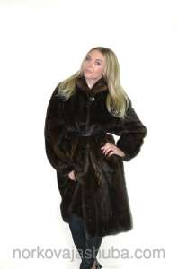 �������� ����, ������ 2015-2016 - ����������� 1