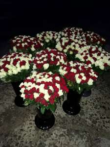 �������� ���� ���������� - ����������� 1