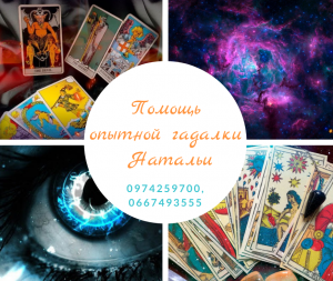 �������� ���� ������������. ������ ��������� ����. ����������� ������ �� ������. - ����������� 1