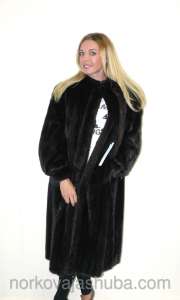 �������� ���� �����-����������� (�����������) �����. ������������ ������ - ����������� 1