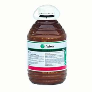 �������� ����� - ����������� 1